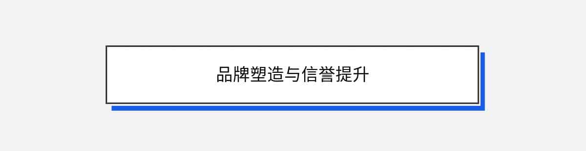 品牌塑造与信誉提升