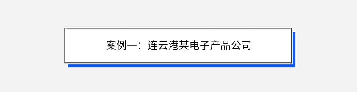案例一：连云港某电子产品公司